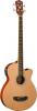 Washburn AB5K Acoustic / Electric Bass OUT OF STOCK